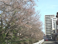 赤迫01-2