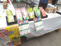 長崎玉緑茶01