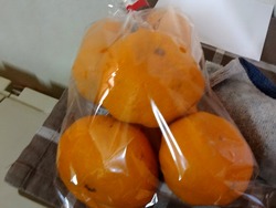長与01-5