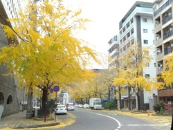 市民会館横01