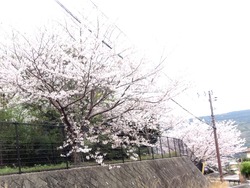¶á½ê01