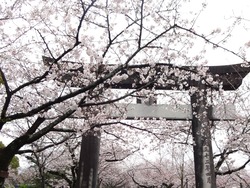 大村公園02-2