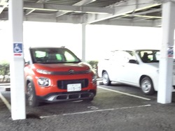 大波止01-1