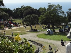 ������ε�01-5