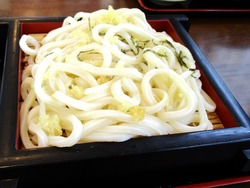 春の家01-9