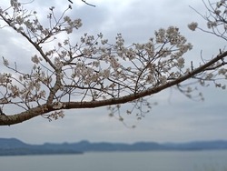 �»�Ϻ����01-3