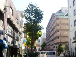 �籺Į07-2