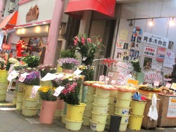 住吉01-4