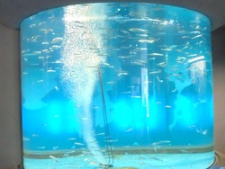 ペンギン水族館02-2