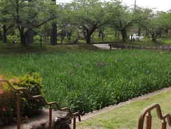 大村公園01-3