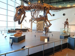 ��ε��ʪ��01-6