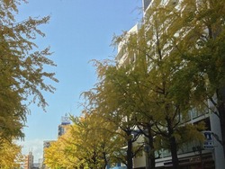市民会館01