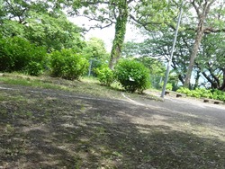 神の島公園01-3