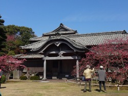 神代小路02-2