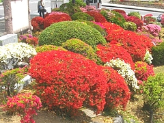 眼鏡橋02-2