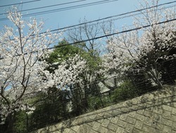 小江原01-2