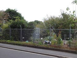 長崎大学04