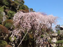 神代小路03-4