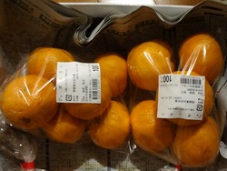 三浦線海沿いマルシェ03