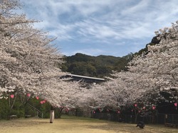 新戸町01-4