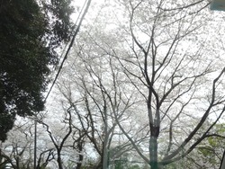 ������01-5