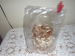 ��������03