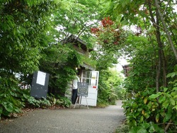 季泉02-2