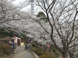 中尾城公園01-7