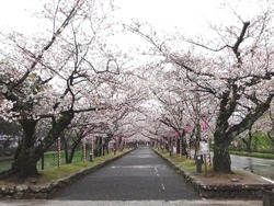 大村公園02