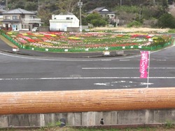 チューリップまつり02-6