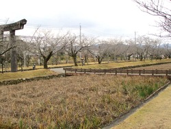 大村神社01