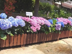 中島川02