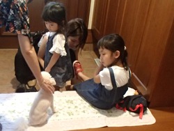 孫01-2
