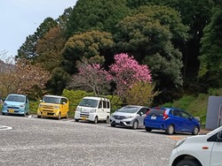 ���������01