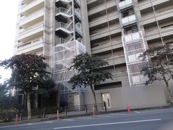 赤迫01-2