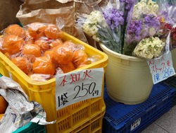 雲仙物産市01-2