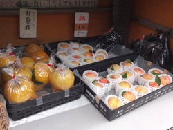 伊木力02