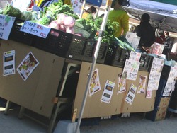 中央公園01-3