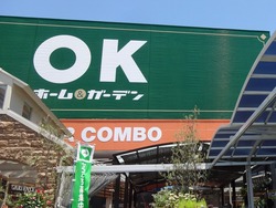 ��̳�����ѡ���¼01