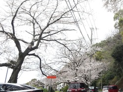 和三郎公園01-1