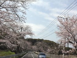 伊木力03