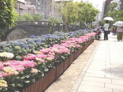 中島川01-4