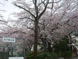 よけ場公園