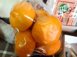 伊木力01-3