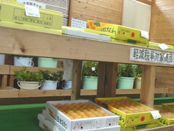 みさき駅さんわ01-5