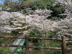 �����������01-2