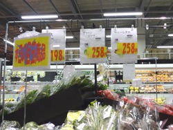 ������å������ṬĮ01-6