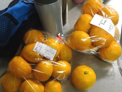 大村01-4