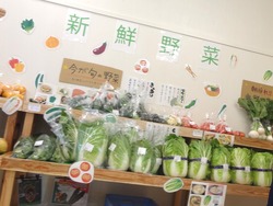 三浦線海沿いマルシェ01-7