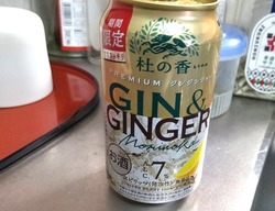 ジンジンジャー